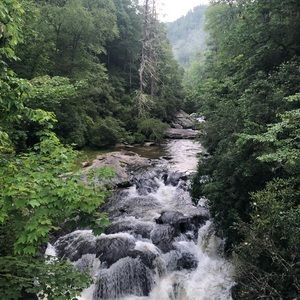 Meet your Posher, Riley